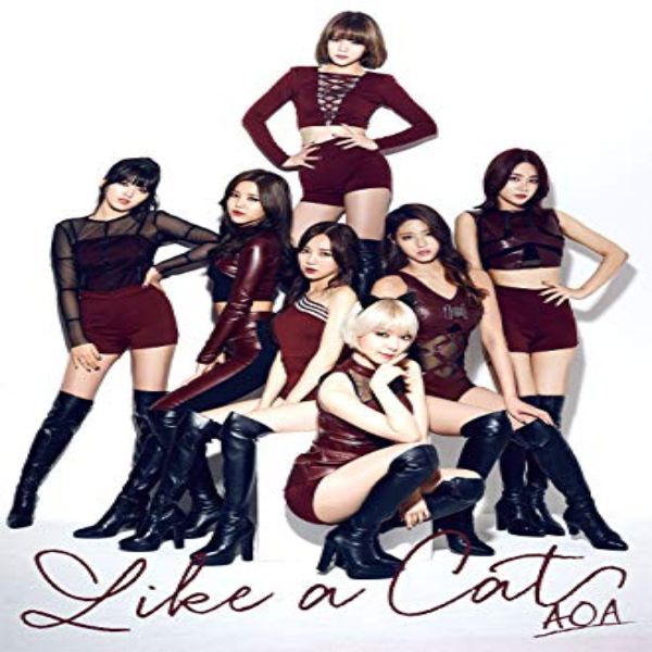 دانلود آهنگ کره ای گروه دختر (ای او ای) AOA با نام (مثل یک گربه) Like a Cat