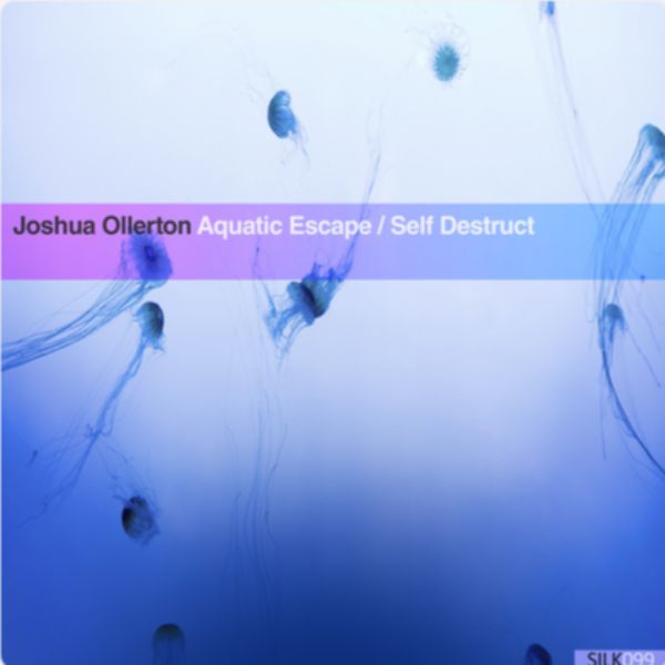 دانلود آهنگ بی کلام (جاشوا وللرتون) Joshua Ollerton با نام (وابسته به آب-جانور آبزی) Aquatic Escape