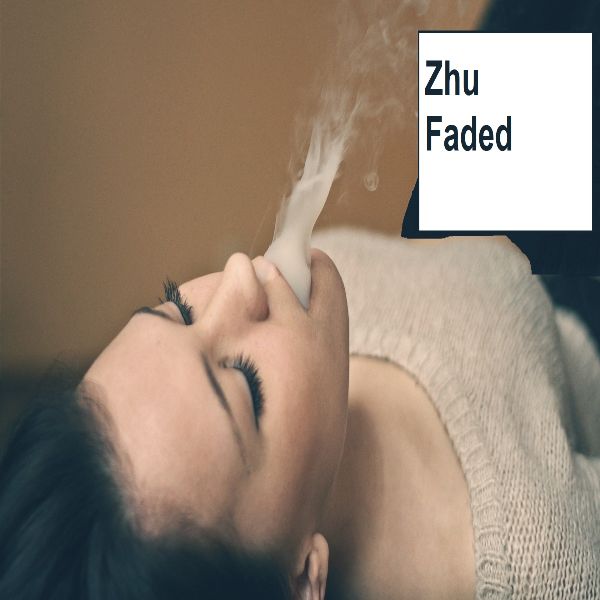دانلود آهنگ (ژی یو) Zhu با نام (فاسد شده-پژمرده) Faded