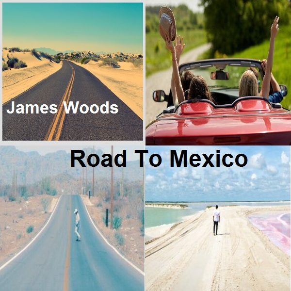 دانلود آهنگ بی کلام 2015 House (جیمز وودز) James Woods با نام (جاده به مکزیک) Road To Mexico
