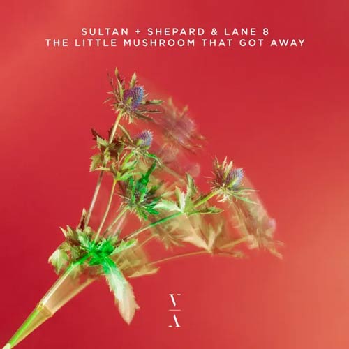 Lane 8 & Sultan + Shepard - The Little Mushroom That Got Away