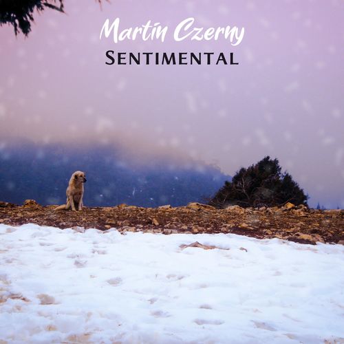 دانلود آهنگ بی کلام (مارتین چرنی) Martin Czerny با نام (احساسی) Sentimental